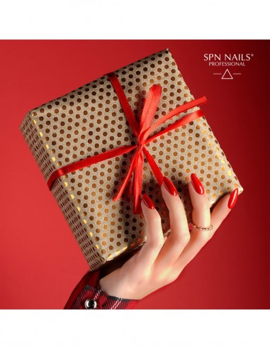 1022 Smalto semipermanente Make a Wish UV LaQ 8ml