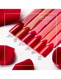 541 Smalto semipermanente UV LaQ MonteVerdi 8ml 2