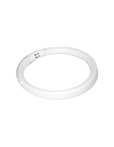 Lampadina (tubo fluorescente) 22W lampada...