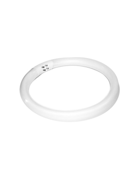 Lampadina (tubo fluorescente) 22W lampada d'ingrandimento S4