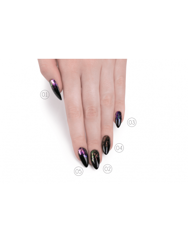 Petali cangianti STAR Dust 04