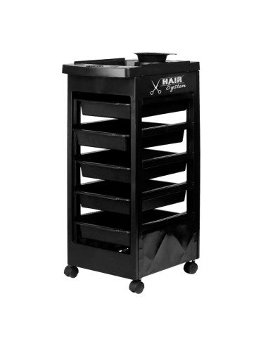 Assistente parrucchiere Hair System 8-5 