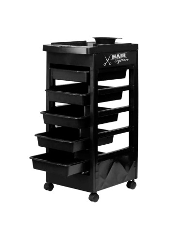 Assistente parrucchiere Hair System 8-5 