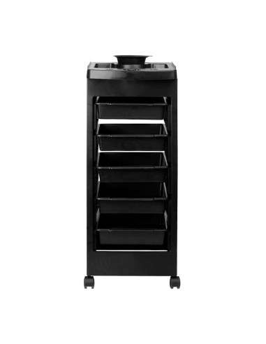 Assistente parrucchiere Hair System 8-5 