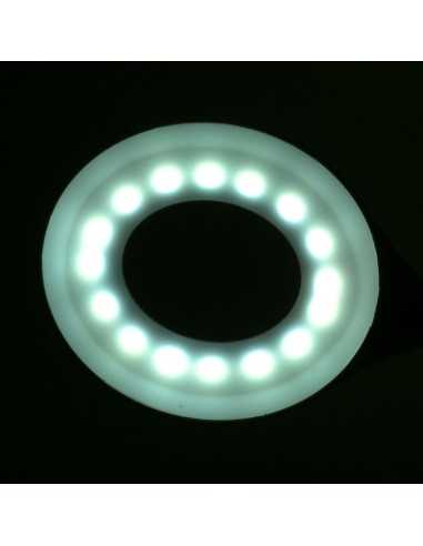 Lampada da tavolo a led snake bianco