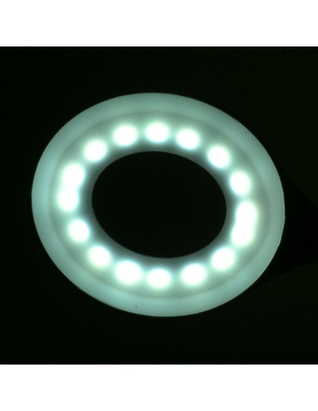 Lampada da tavolo a led snake bianco