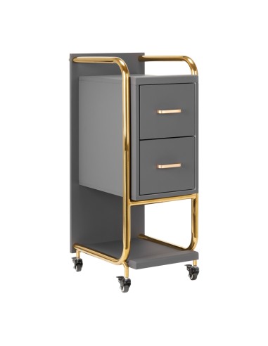 Gabbiano assistente parrucchiere Solo oro-grigio