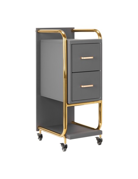 Gabbiano assistente parrucchiere Solo oro-grigio