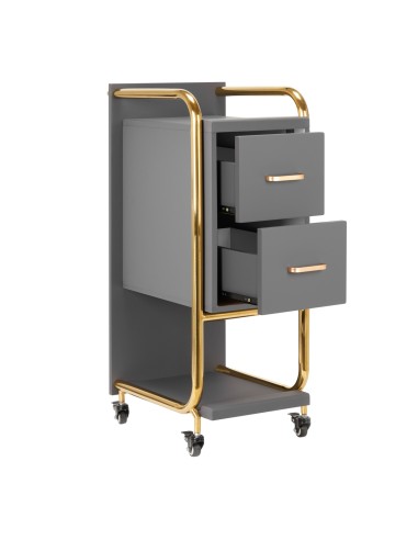 Gabbiano assistente parrucchiere Solo oro-grigio