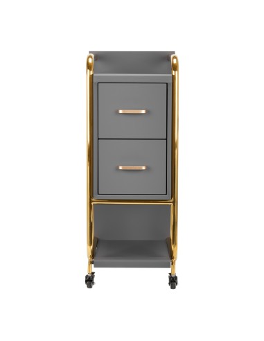 Gabbiano assistente parrucchiere Solo oro-grigio