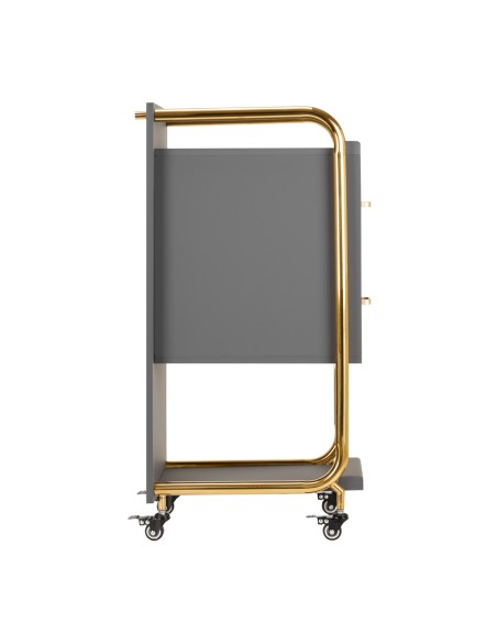 Gabbiano assistente parrucchiere Solo oro-grigio