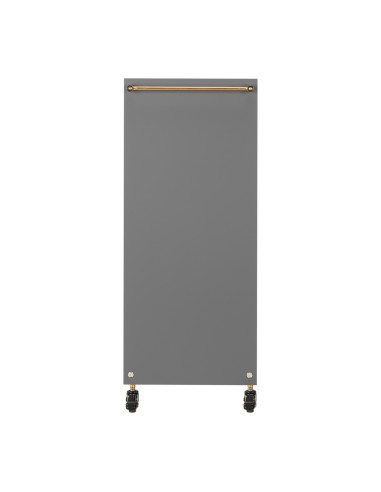 Gabbiano assistente parrucchiere Solo oro-grigio