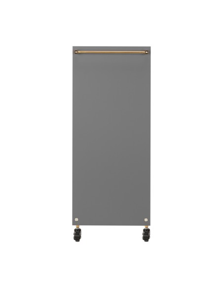 Gabbiano assistente parrucchiere Solo oro-grigio