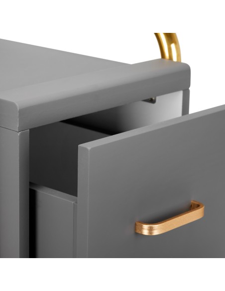 Gabbiano assistente parrucchiere Solo oro-grigio