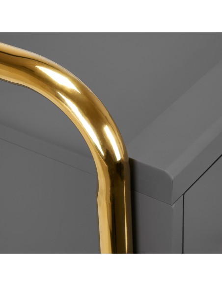 Gabbiano assistente parrucchiere Solo oro-grigio