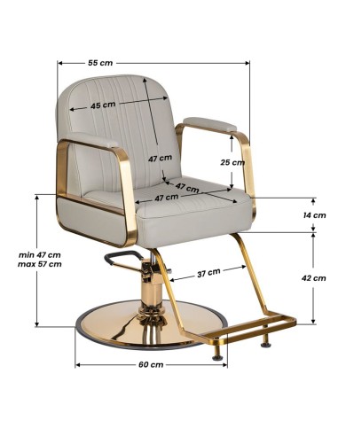 Poltrona per parrucchieri Gabbiano Acri oro -...