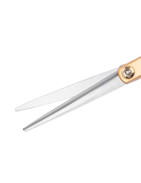 Forbici da parrucchiere Snippex 6.0 oro