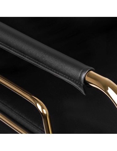 Poltrona per parrucchieri Gabbiano Prato oro -...