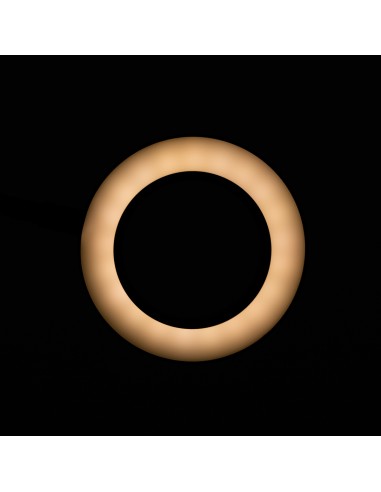 Lampada a led con anello a serpente per...