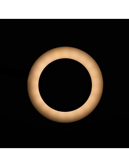 Lampada a led con anello a serpente per ingrandire la scrivania, nero