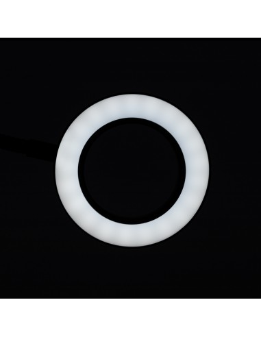 Lampada a led con anello a serpente per...