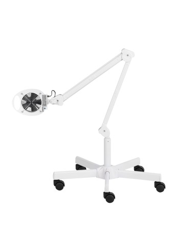 Assorbitore di polvere su pantografo Momo 6606