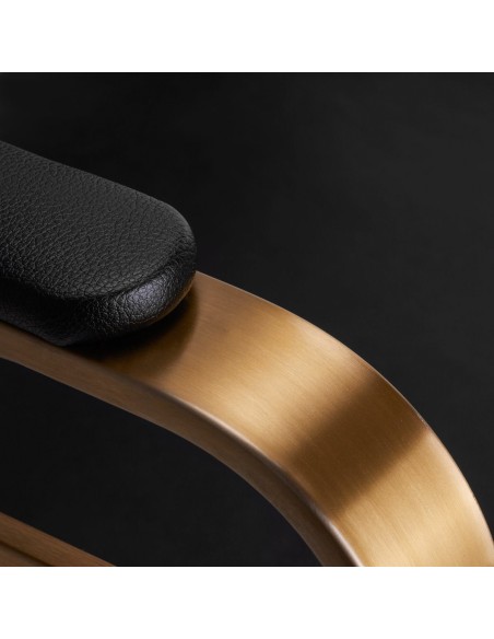 Sedia da parrucchiere Gabbiano Avila oro nero