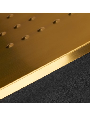 Gabbiano lavaggio parrucchieri Diana oro nero