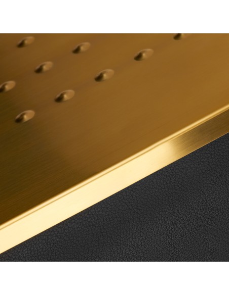 Gabbiano lavaggio parrucchieri Diana oro nero