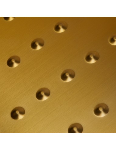 Gabbiano lavaggio parrucchieri Diana oro nero