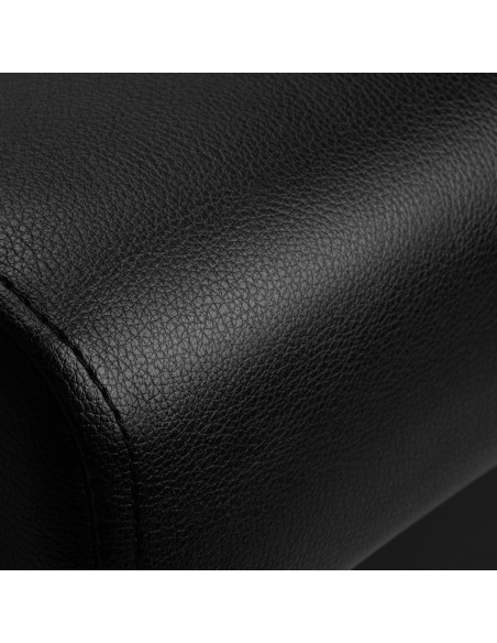 Gabbiano lavaggio parrucchieri Diana oro nero