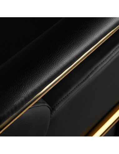 Gabbiano Mayka lavatesta per parrucchieri oro nero