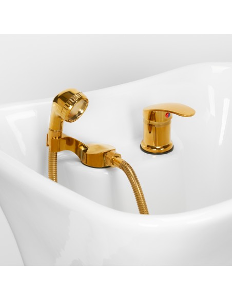 Gabbiano lavaggio parrucchieri Diana oro nero