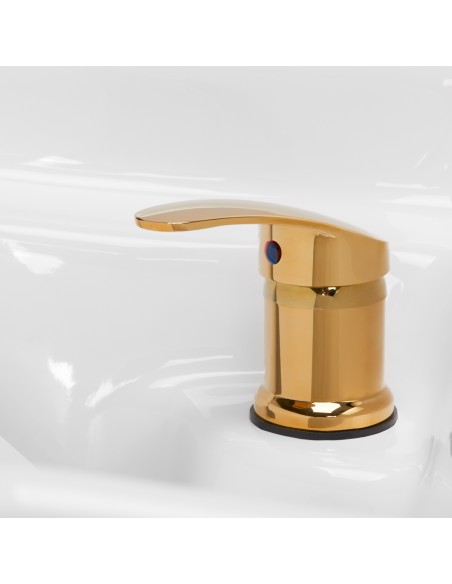 Gabbiano Mayka lavatesta per parrucchieri oro nero