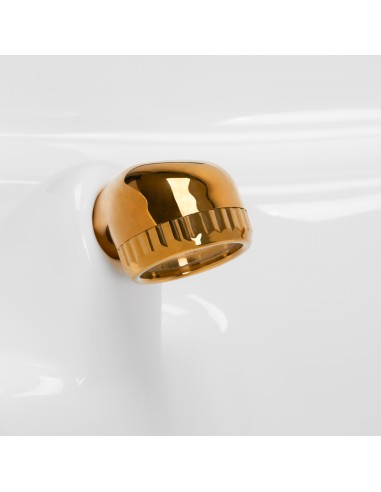 Gabbiano Mayka lavatesta per parrucchieri oro nero