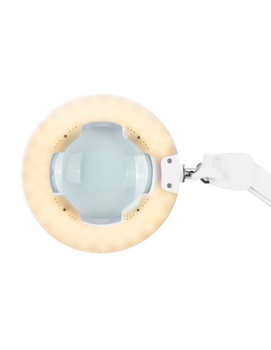 Lampada d'ingrandimento a led Glow 8021 per...