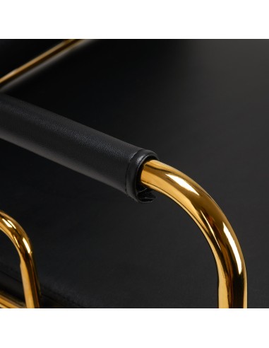 Lavandino per parrucchiere Gabbiano oro-nero Prato