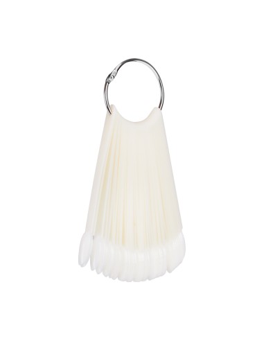 Stencil per vernice per ruote 50 pz. WZ2