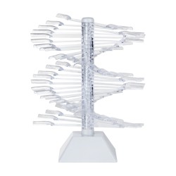 Stencil verticale per vernice 60 pz. WZ23 2