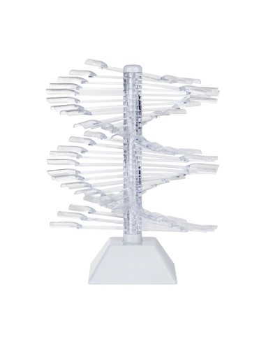 Stencil verticale per vernice 60 pz. WZ23