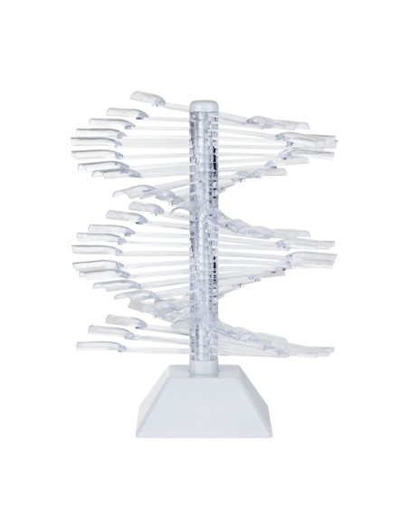 Stencil verticale per vernice 60 pz. WZ23