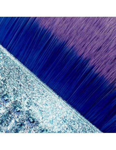 Spazzola di raccolta della polvere Guscio