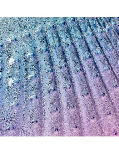 Spazzola di raccolta della polvere Guscio