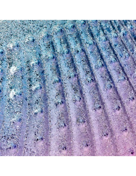 Spazzola di raccolta della polvere Guscio