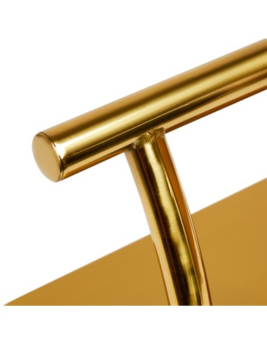 Gabbiano poggiapiedi da barbiere L005S oro