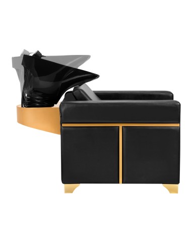 Gabbiano lavaggio parrucchieri Toledo oro nero...