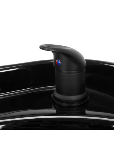 Gabbiano lavatesta per parrucchieri Modena...