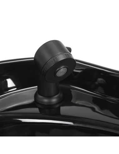 Gabbiano lavatesta per parrucchieri Modena...