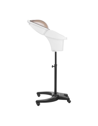 Gabbiano sauna per parrucchieri in piedi 408D...