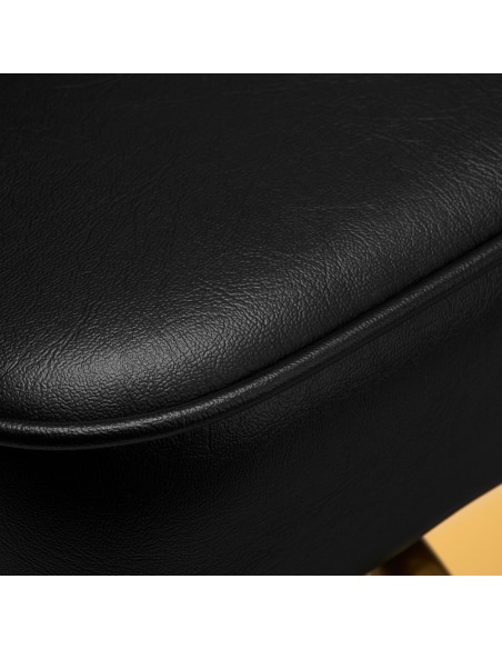 Poltrona per parrucchieri Gabbiano Linz NQ oro nero